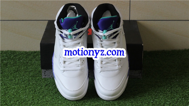 Authentic Air Jordan 5 Retro Grapes